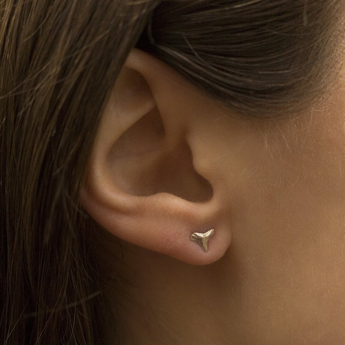 Small Sharks Teeth Studs {silver}