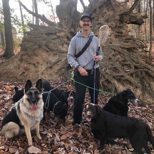 Dog Pack Adventures